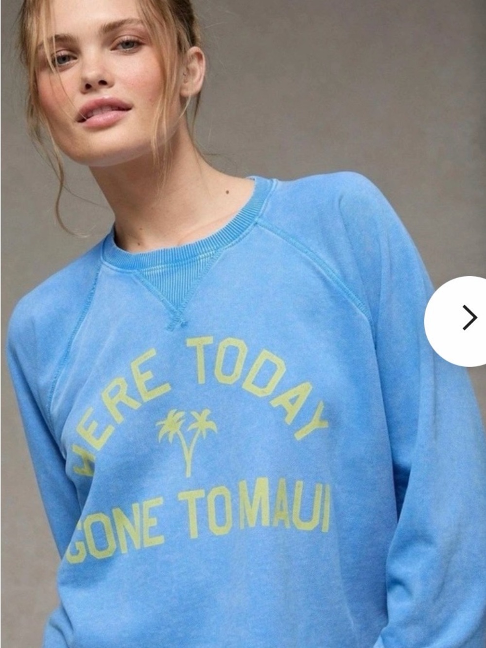 American Eagle Cropped Sweatshirt